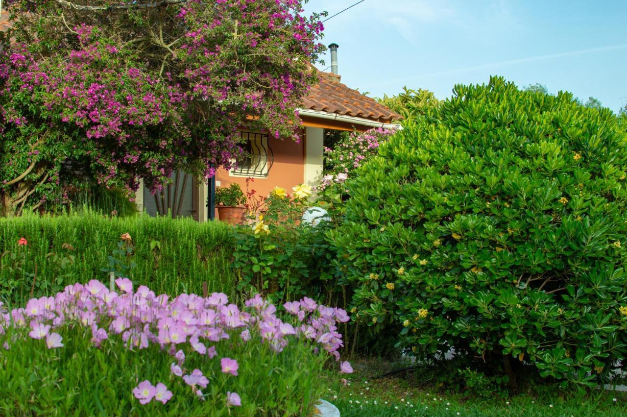 Rose Garden Villa Melikia Exterior photo